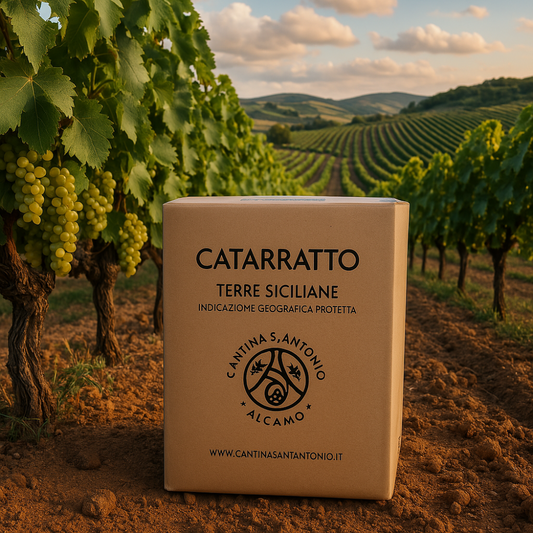Je Catarratto - Weißwein Karton